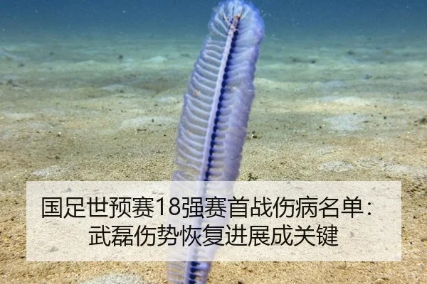 guo-zu-shi-yu-sai-qiang-sai-shou-zhan-shang-bing-ming-dan-wu-lei-shang-shi-hui-fu-jin-zhan-cheng-guan-jian-2-575.jpg