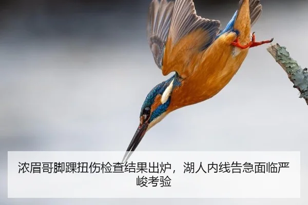 浓眉哥脚踝扭伤检查结果出炉，湖人内线告急面临严峻考验