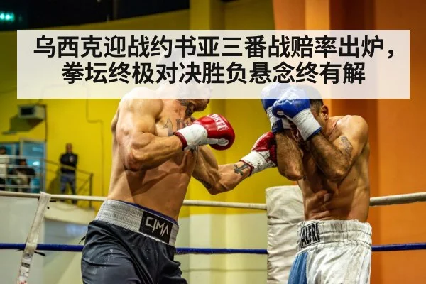 乌西克迎战约书亚三番战赔率出炉,拳坛终极对决胜负悬念终有解